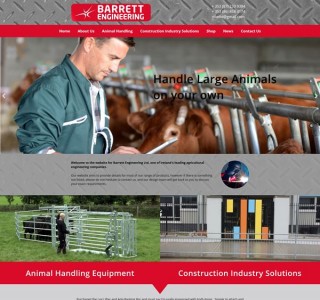 ecommerce website