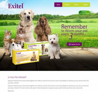 Chanelle Veterinary Galway Web Design