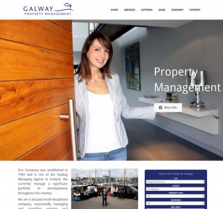 Galway Property Responsive Website Design