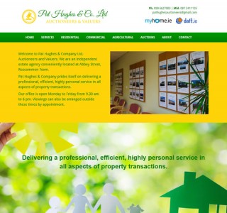 Pat Hughes Roscommon Web Design & Logo Design