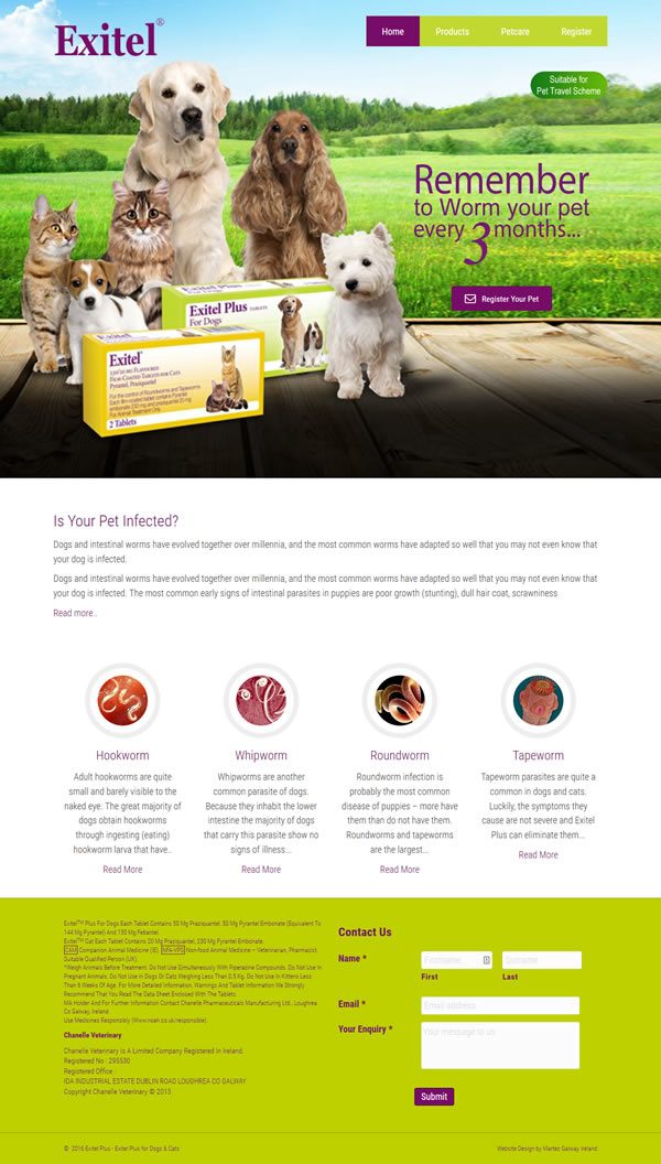 Chanelle Veterinary Galway Web Design