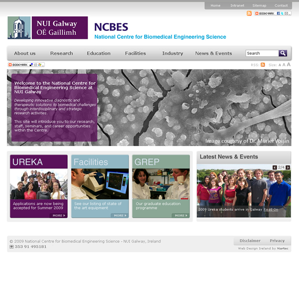 NCBES NUI Galway Web Site Design
