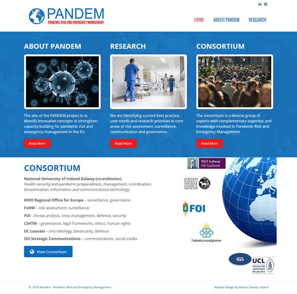 Pandem Galway Web Design & Logo Design