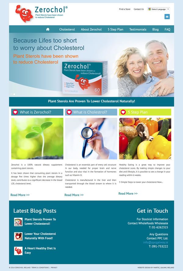 Zerochol Galway Website Design