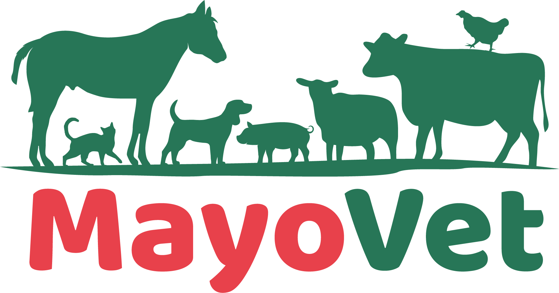 mayo vert